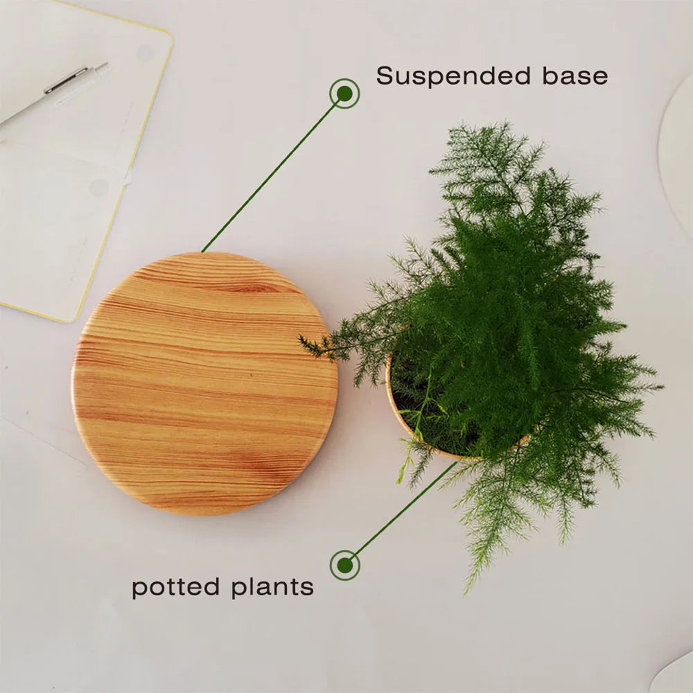 Magnetic Levitation Potted Aerial Ornaments Suspended Woodgrain Plant Bonsai Lamp Night Bedroom Fancy Lighting Table Light Kids